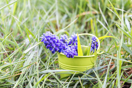 April fresh bucket in Luxembourgの写真素材