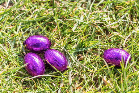 Easter eggs in grass, sunny weatherの写真素材