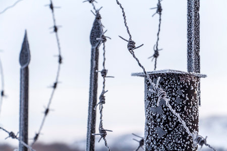 Christmas Kazakhstanの写真素材