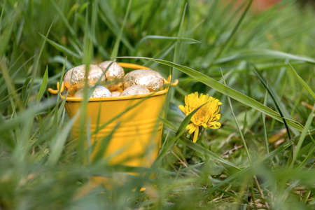Easter eggs in spring sunny day, Luxembourgの写真素材