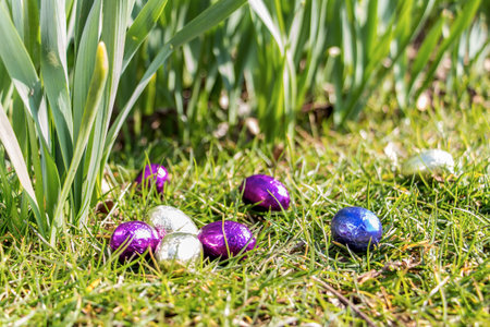 Easter eggs in grass, sunny weatherの写真素材
