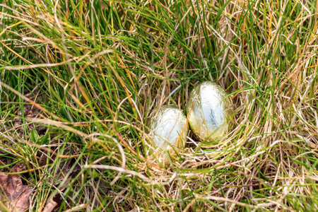 Spring Easter eggs Crocus flowers in the sun