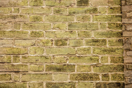 Holland travel in springの写真素材