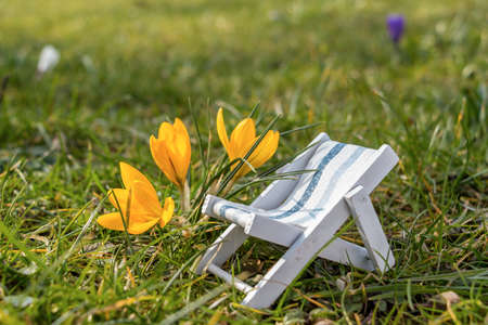 Spring Easter eggs Crocus flowers in the sunの写真素材