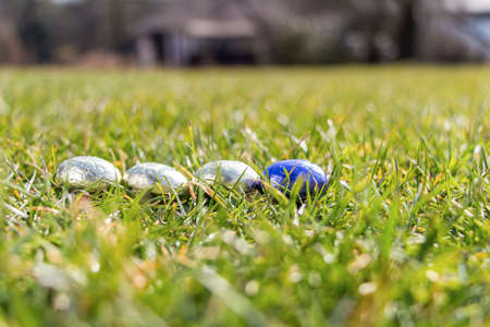 Easter eggs in grass, sunny weatherの写真素材