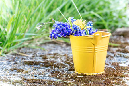 April freshness in Luxembourgの写真素材