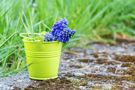 April freshness in Luxembourgの写真素材