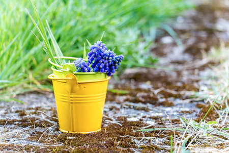 April freshness in Luxembourgの写真素材