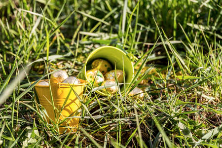 Easter eggs in spring sunny day, Luxembourgの写真素材