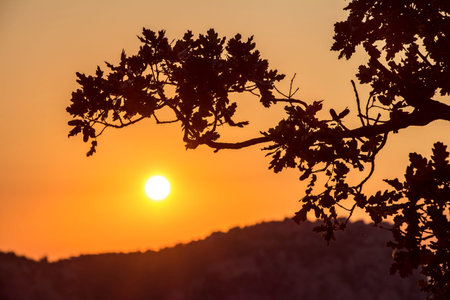 Sunrise in Simeiz, Yalta, Crimea, Ukraine, summerの写真素材