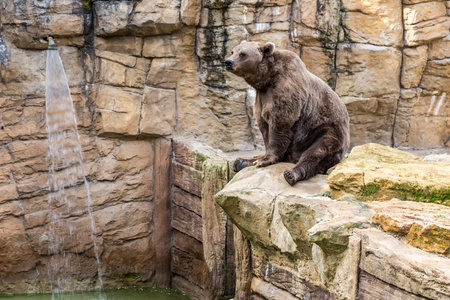 Amneville Zoo, Septemberの写真素材