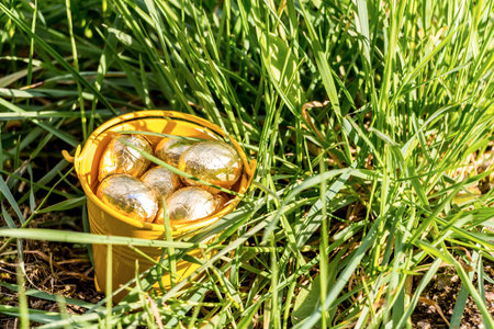 Easter eggs in spring sunny day, Luxembourgの写真素材