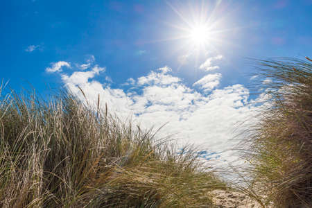 Dunes clouds and North Sea in De-Panne, Belgiumの写真素材