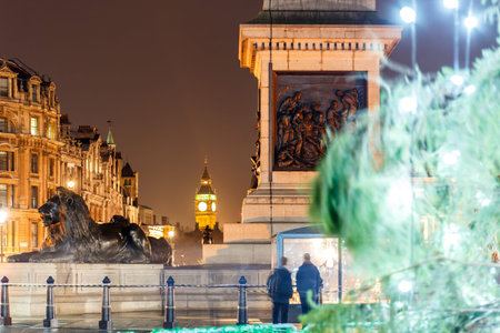 Trafalgar square in the night, Londonの写真素材