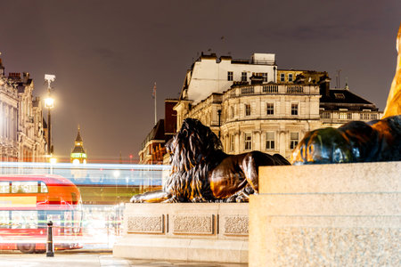 Trafalgar square in the night, Londonの写真素材