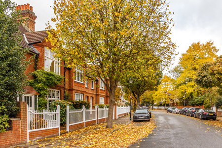 Chiswick suburb street in autumn, London, England