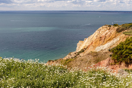 Isle of Wight in summer, England, UKの写真素材