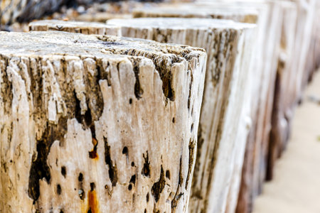 Isle of Wight in summer, England, UKの写真素材