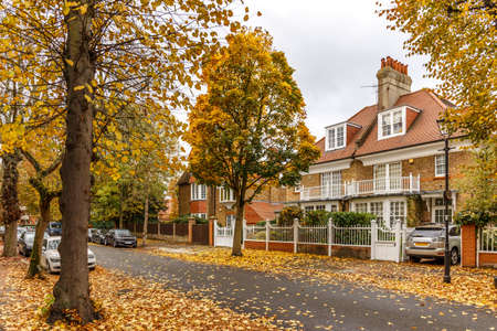 Chiswick suburb street in autumn, London, Englandの写真素材