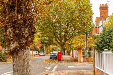 Chiswick suburb street in autumn, London, Englandの写真素材