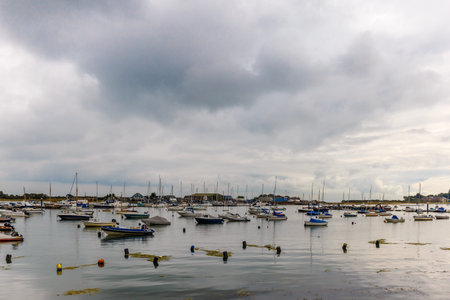 Isle of Wight in summer, England, UKの写真素材