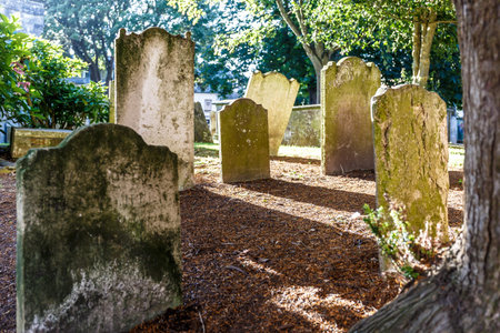 Travelling at Jurassic coast seaside (Devon), UKの写真素材