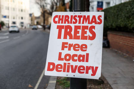 Christmas trees sales in Londonの写真素材