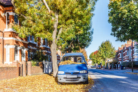 Chiswick suburb street in autumn, London, Englandの写真素材