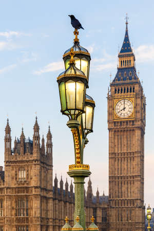 Raven on lampost at Houses of Parliament in early winter morning, Londonの写真素材