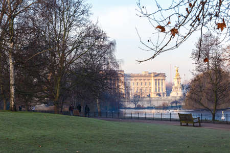 Birds in early winter morning in St James's park, Londonの写真素材