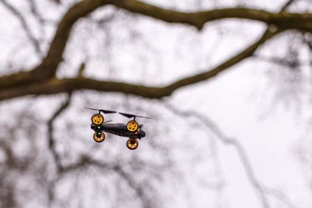 School boy with quadrocopter inthe park, Londonの写真素材