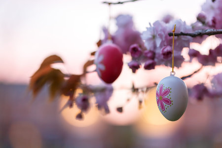Blossoming tree decorated by Easter eggの写真素材
