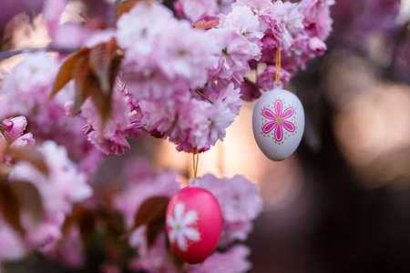 Blossoming tree decorated by Easter eggの写真素材