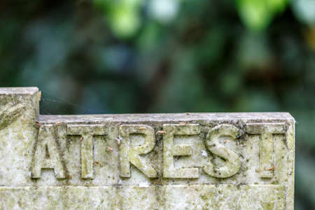 Nunhead cemetry in springの写真素材
