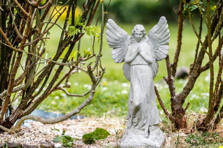 Nunhead cemetry in springの写真素材