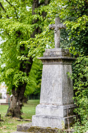 Nunhead cemetry in springの写真素材