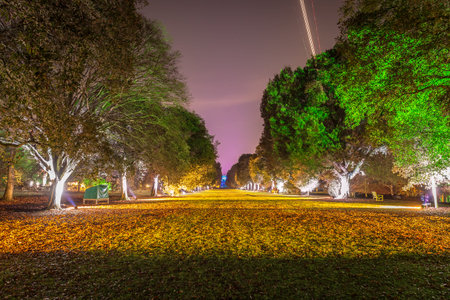 Kew Gardens in Christmas time, London, UK