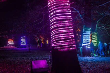 Kew Gardens in Christmas time, London, UKの写真素材