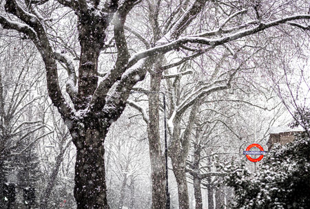 Notting Hill under the snow storm in 2021 in London, England, UKの写真素材