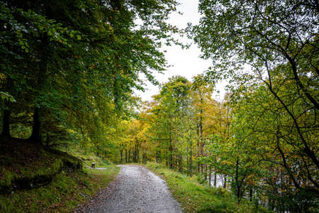 View of Ladybower reservoir in Peak district, an upland area in England at the southern end of the Pennines, UKの写真素材