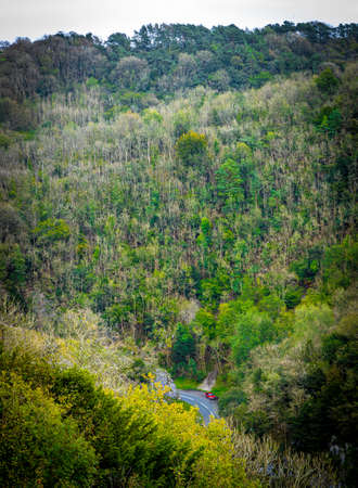 View of limestone Cheddar Gorge in the Mendip Hills, near the village of Cheddar, Somerset, Englandの写真素材