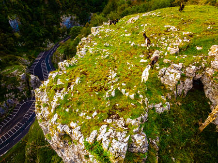 View of limestone Cheddar Gorge in the Mendip Hills, near the village of Cheddar, Somerset, Englandの写真素材