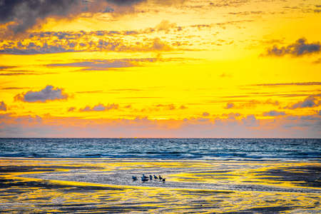Gull rocks at sunset in Hollywell Bay in Cornwall, UKの写真素材