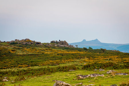 Sunset view of Dartmoor National Park, a vast moorland in the county of Devon, in southwest England, UKの写真素材
