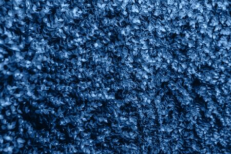 Many small blue leaves in a classic blue color.の写真素材