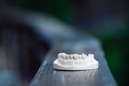 A plastic model of the jaw for prosthetics lies on the table. On a blue background.の写真素材