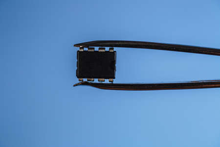 The tweezers hold a small black chip. Chipization of people after an epidemic coronavirus. Copy spaceの写真素材