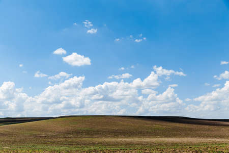 Green meadow under blue sky with clouds. Beautiful nature, landscape.の写真素材
