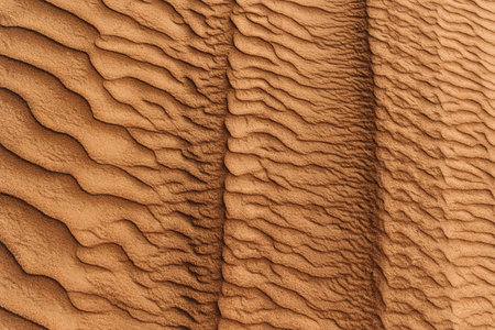 Texture of the sand in the desert. Wavy sand background. Top viewの写真素材