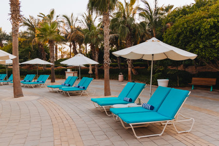 Blue bed pool with a towel stand under open umbrellas against the backdrop of beautiful palm trees, rest, vacations, relaxationの写真素材
